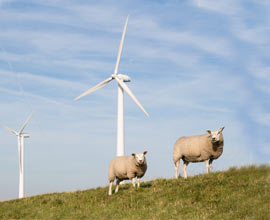 © Kruwt---Fotolia.com © Kruwt---Fotolia.com
