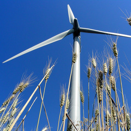 © Tag des Windes Raimund Lehner © Tag des Windes Raimund Lehner